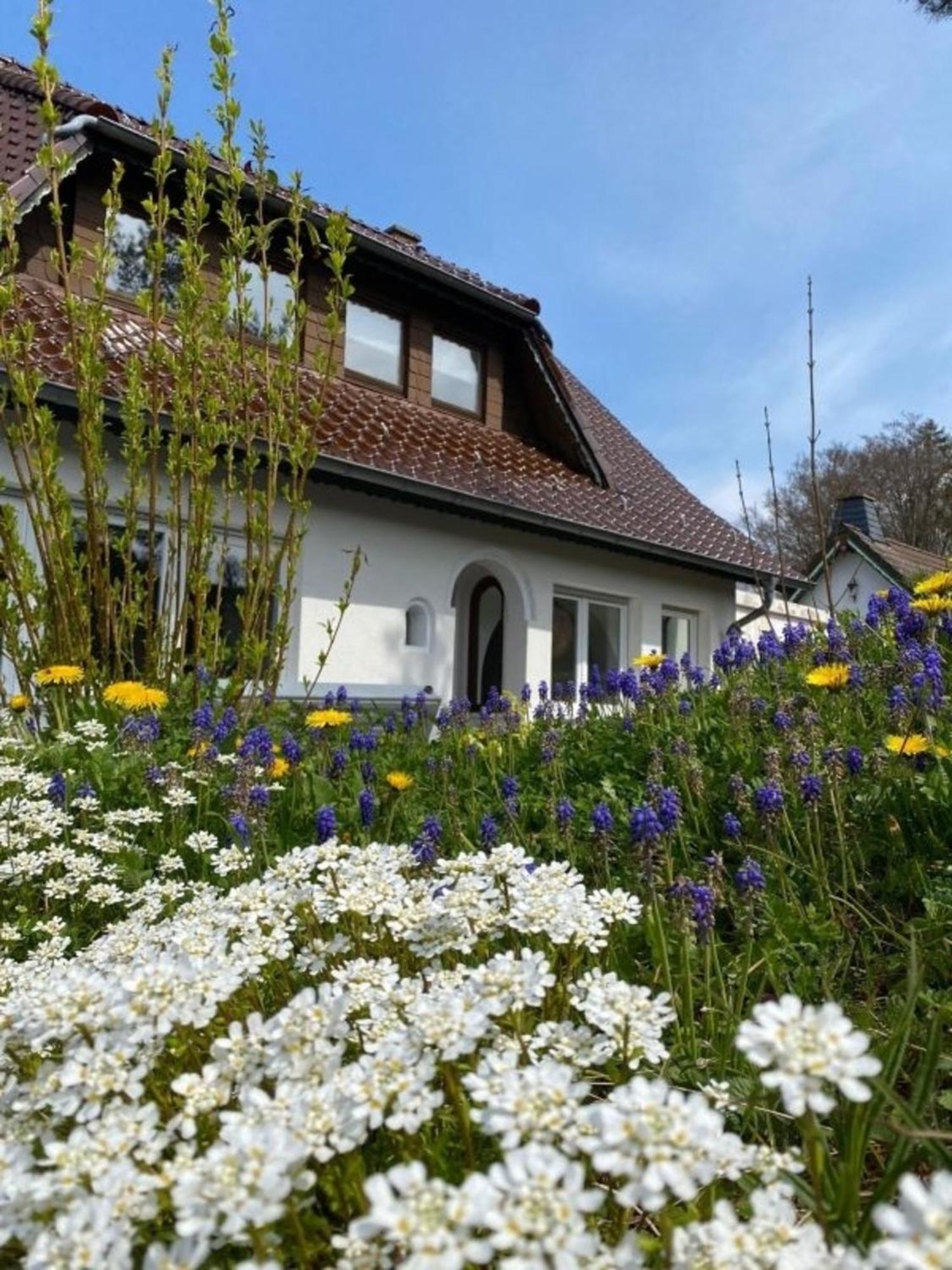 Ferienwohnung Eifelglueck Pelm Exterior foto